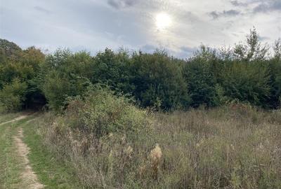 Teren extravilan de vanzare in Tileagd - 3166 mp cu panorama superba - 4