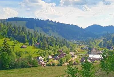 Proprietate de vanzare in Bucovina Breaza zona Paraul Negrei - 2