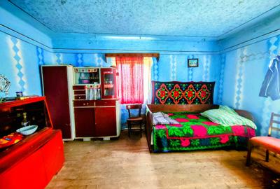 CASA TRADITIONALA, ANEXE si 46.980 mp teren partial INTRAVILAN BULZ - BIHOR - 49