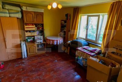 Casă cu 3 camere cu Teren 4000 Mp în Rovina (Brănișca) - 9