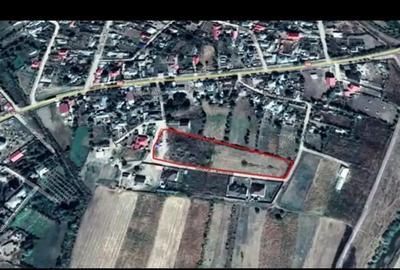 Teren de 8147 mp, în Simila - 1