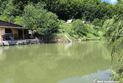 Casa de vacanta, cu lac, 5640 mp teren, Huta, com. Chiuiesti, jud. Cluj Casa de vacanta, cu lac, 5640 mp teren, Huta, com. Chiuiesti, jud. Cluj - 19