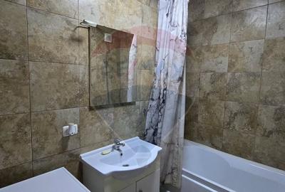 Apartament cu 2 camere de inchiriat Vivalia  zona Aurel Vlaicu - 16
