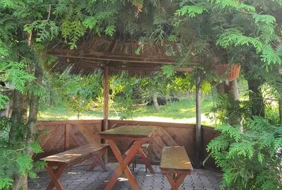 Teren si casa de vacanta ecologica in Stancesti - 4