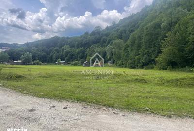 Teren de 4500 mp, în Dâmbovicioara - 7