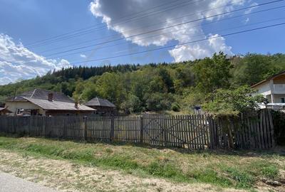 Teren 4000 mp intravilan loc. Aninoasa, jud Arges. Comision 0% - 4