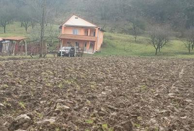 Casa de vanzare Casa de vanzare - 3