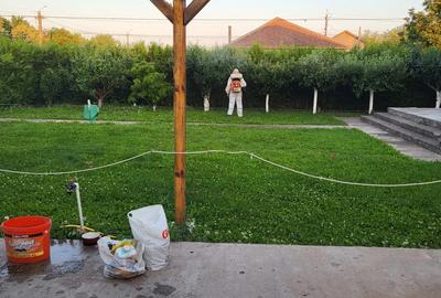 Casă cu Teren 1000 Mp în Perișoru