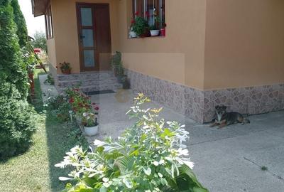 Casă individuală cu 3 camere cu Canalizare în Hănțești - 28