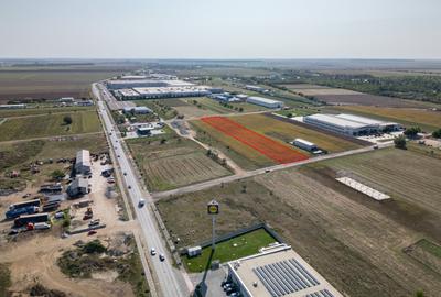 Teren Intravilan - Branesti - Investitie Pentru Hale Industriale - Vanzare - 4