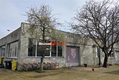 Showroom cu hala si spatiu locativ Marghita, Bihor - 1