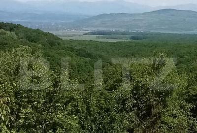 Casa cu 2 camere, suprafata teren 1700mp + super priveliste - 7