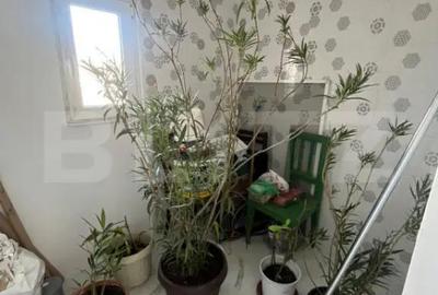 Casă cu 2 camere cu Teren 350 Mp în Central - 3