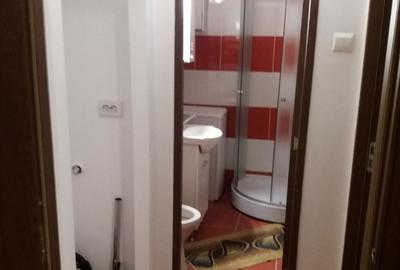 Camera de inchiriat/apartament cu 3 camere Grivitei - 2