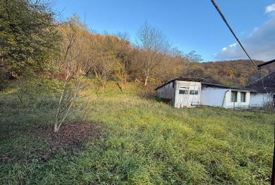 Casă cu 3 camere cu Canalizare în Central - 4