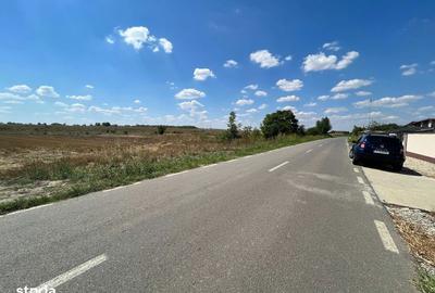 Teren de 5000 mp, în Clinceni - 3