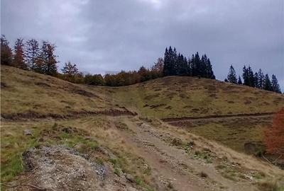 Teren de 2000 mp, în Curățele - 4