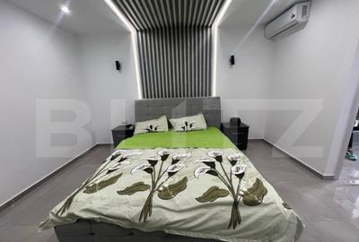 Garsoniera Proaspat renovata Brazda lui Novac - 2