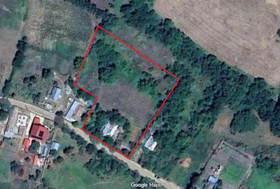 Teren intravilan de 4116 mp, în Vorovești - 1