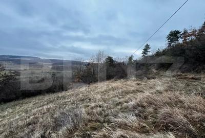 Teren de 4300 mp, în Vințu de Jos - 5