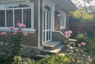 Casa locuibila cu teren mic Bistrita - 1