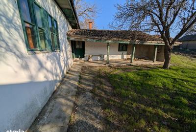 Teren de 4621 mp, în Cerna - 6