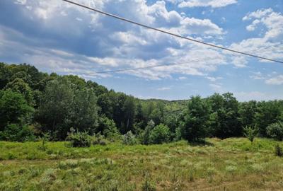 Spațiu comercial, în Slănic - 4
