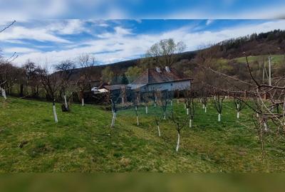 Casă cu 4 camere cu Canalizare în Micești - 39