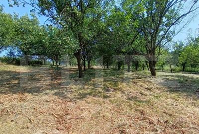 Casa cu 2 camere, 250 mp, zona sud-est - 1