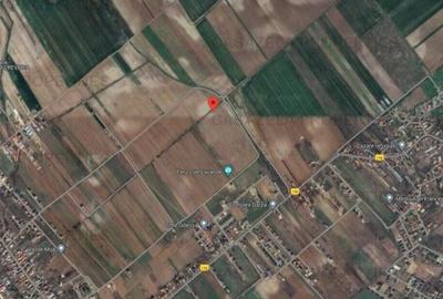 Teren extravilan 2.410 mp - Darza, Dambovita - 4