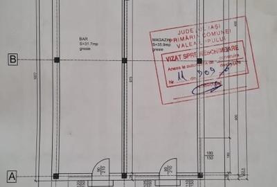 Spatiu comercial Valea Lupului (100mp + 35mp terasa)