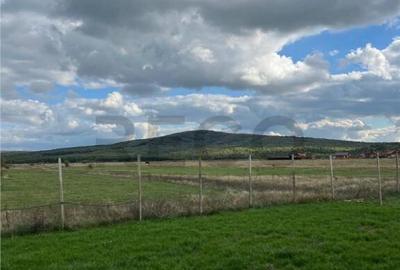 Casă cu 3 camere cu Teren 500 Mp în Rontău - 4