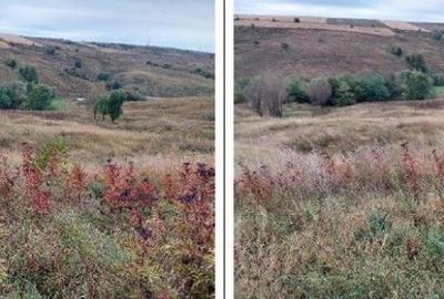 Teren extravilan pasune Ardeoani, ID: R2404613 - 6