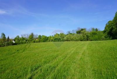 Teren Construcții intravilan de 33137 mp, în Sud-Vest - 9