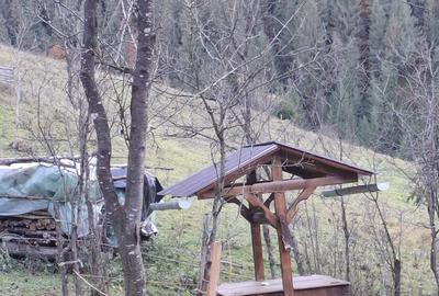 Casă cu 2 camere în Ponor - 6