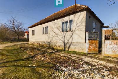 Casă cu 3 camere cu Teren 719 Mp în Tauț - 2