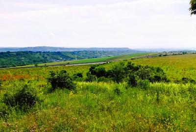 28.554 mp TEREN EXTRAVILAN, TURDA - SĂNDULEȘTI, jud. CLUJ, 300 m de AUTOSTRADA - 14