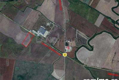 Teren Industrial cu PUZ de vanzare pe Calea Torontalului - 2