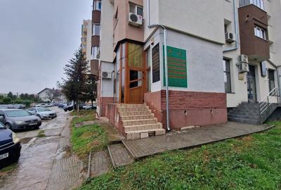 Spatiu comercial de inchiriat - 6