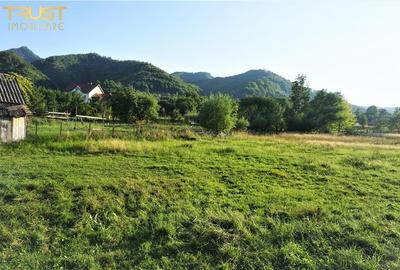 Teren intravilan Bistrita Birgaului, schimb cu apartament - 6