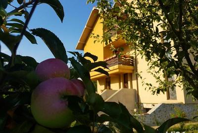 Casă cu 6 camere cu Teren 4200 Mp în Central - 9