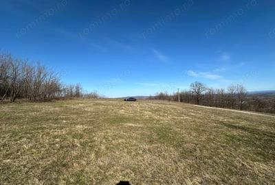 Teren de 9220 mp, în Periferie - 6