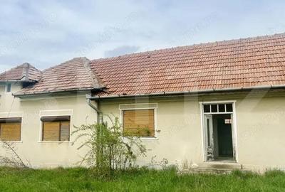 Casa de Vanzare, 4139 mp, Hapria, Ciugud Ideala ca Locuin?a sau Proiect Rural - 3