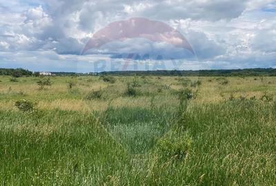 DE VANZARE Teren intravilan 600mp Drumul Piscul Mosului SISESTI - 13