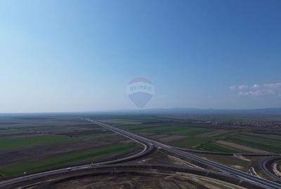 Teren Construcții extravilan de 5000000 mp, în Slobozia Ciorăști - 7