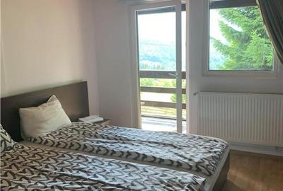 Cabana la munte, Colibita, jacuzzi, foisor - 11