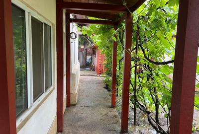 Pantelimon oras - 11