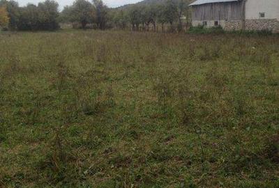 Teren de 12000 mp, în Pociovaliștea - 7