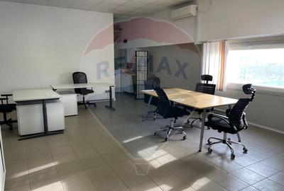 Spațiu industrial, de 615 mp, în Ștefăneștii de Jos - 6