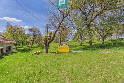 Casă individuală cu 2 camere cu Canalizare în Măgulicea - 45